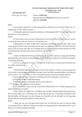 Đề thi thử chọn học sinh giỏi cấp tỉnh môn Sinh học Lớp 12 THPT - Đề số 1 - Nguyễn Ngọc Cảnh